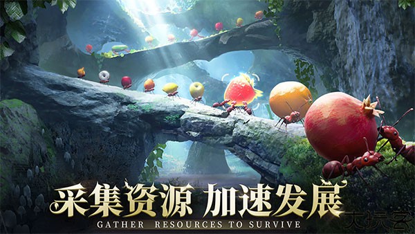 小小蚁国国际服