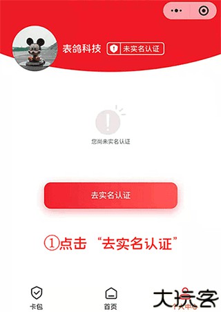 表鸽