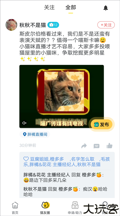 哈啰街猫