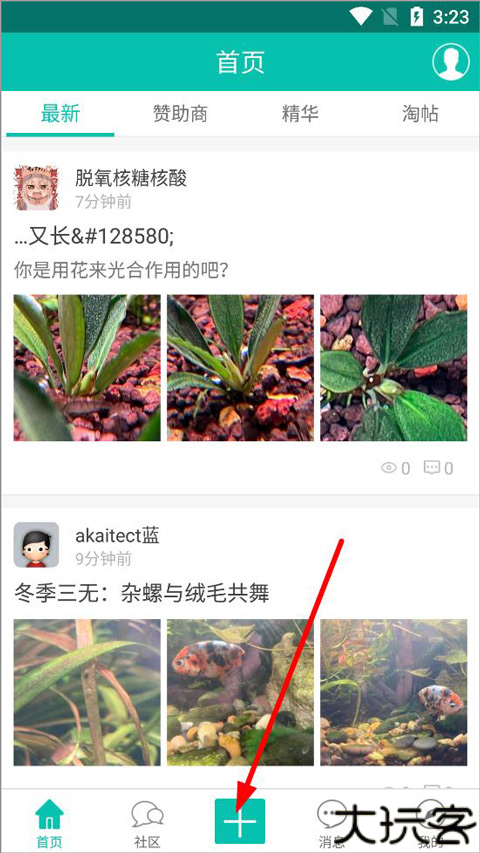 南美水族论坛