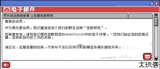 不要喂猴子