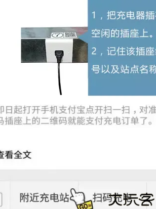充电小斑马