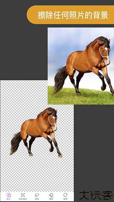 proknockout智能抠图P图