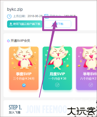 飞猫网盘
