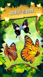 彩翼蝴蝶保护区