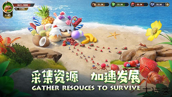 小小蚁国国际服