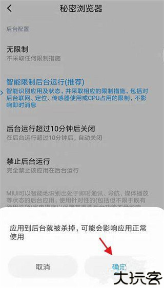 秘密浏览器