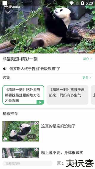 熊猫频道