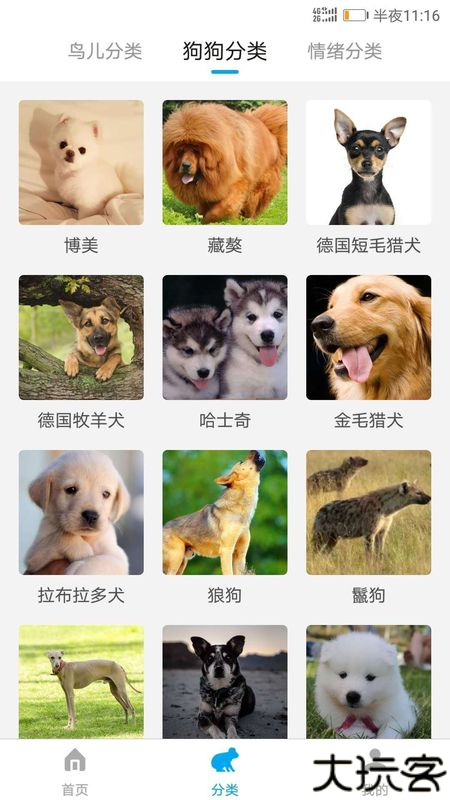 兽语翻译
