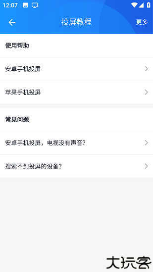 蓝莓投屏