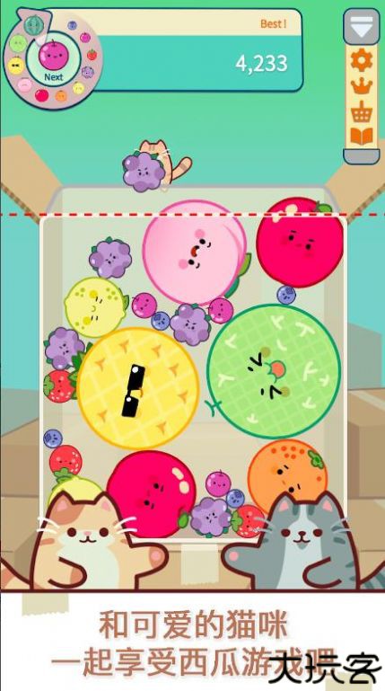 猫和西瓜免广告版