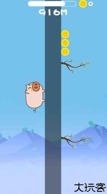 公猪上树之为了爱情