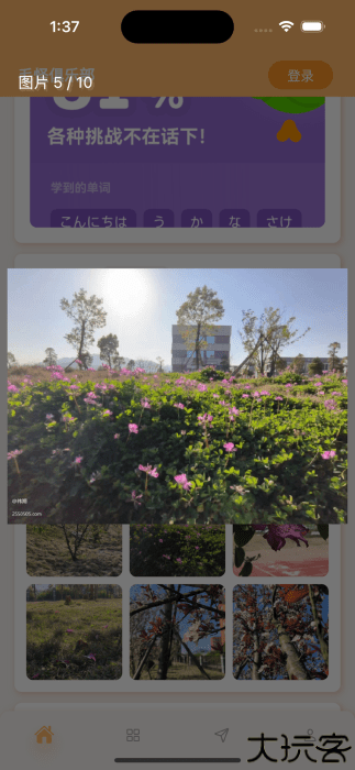 毛怪俱乐部