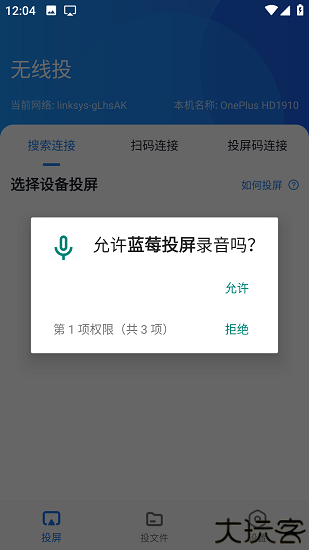 蓝莓投屏