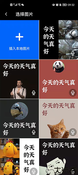 鲱鱼罐头