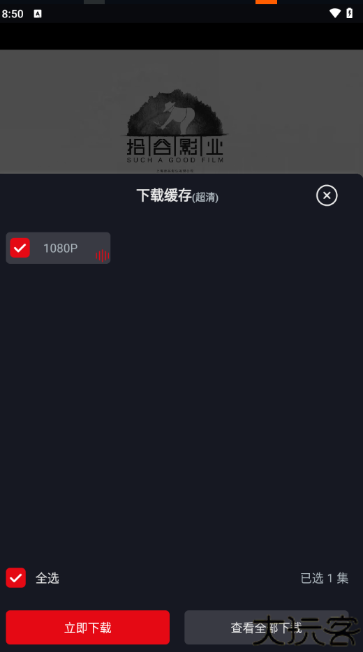 网飞猫
