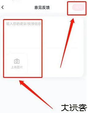 柚子轻断食