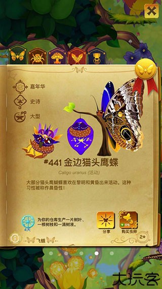 彩翼蝴蝶保护区