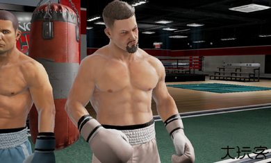 真实拳击2