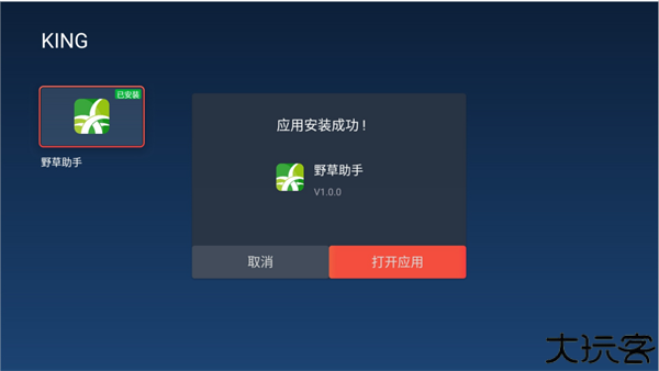 野草助手