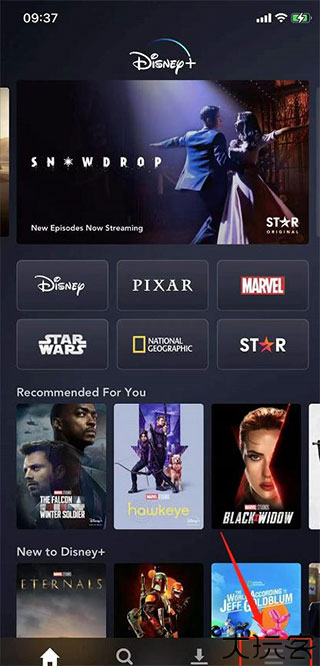 Disney+