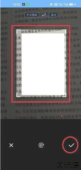 洋果扫描王