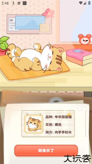 桌面喵