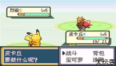 口袋妖怪圣灰汉化最终版