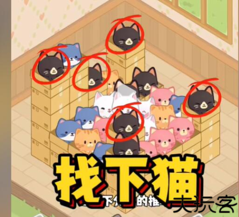 找下猫