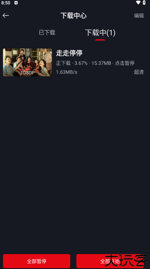 网飞猫
