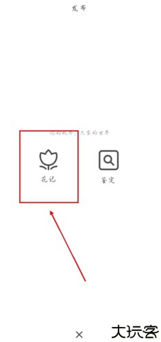 花伴侣app