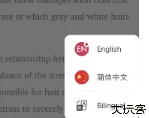 西梅