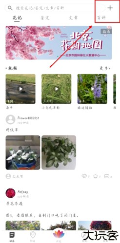花伴侣app