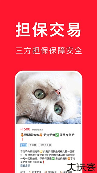 宠物宝