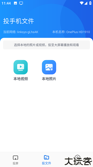 蓝莓投屏