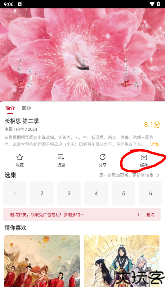 红叶影评