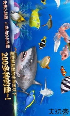钓鱼竞争者