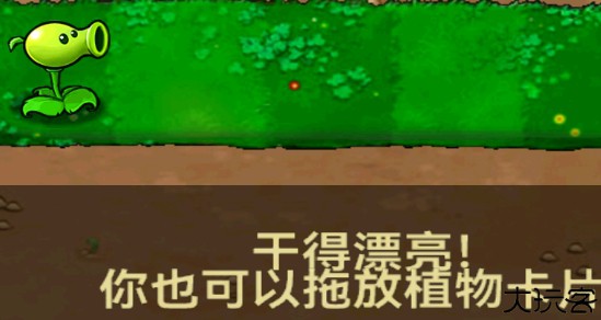 植物大战僵尸北美汉化版