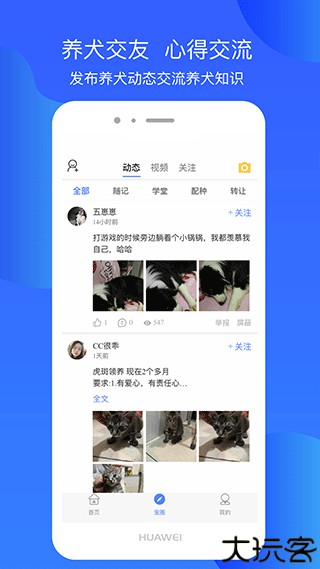 犬卫士