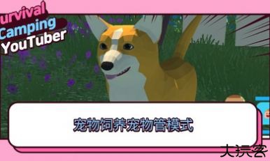 生存露营直播