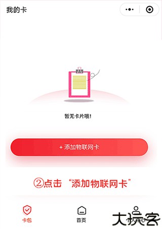 表鸽