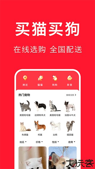 宠物宝