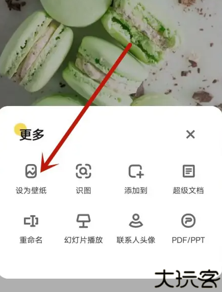 饭团小灯泡