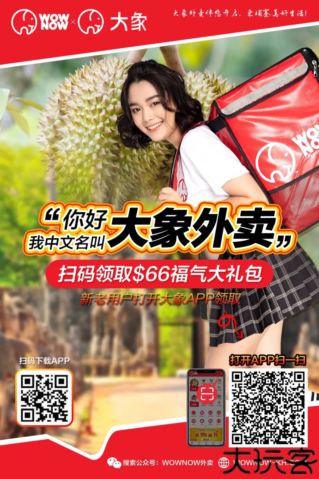 wownow大象