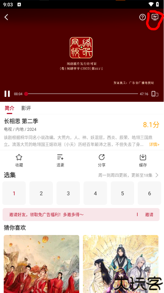 红叶影评