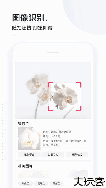 简单搜索