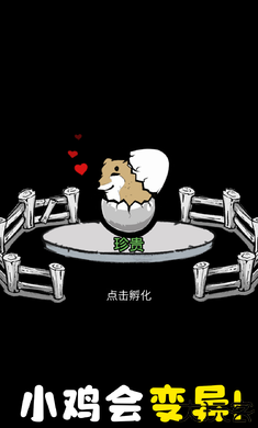 养鸡时长两年半