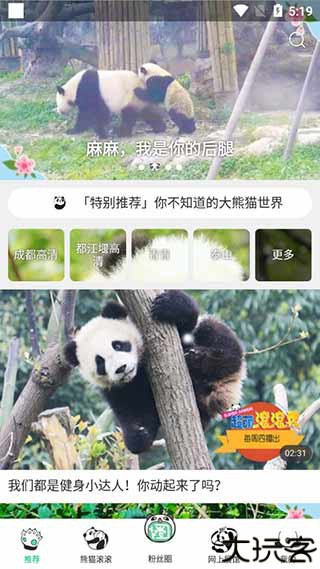 熊猫频道