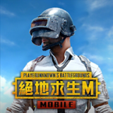 绝地求生国际服最新版