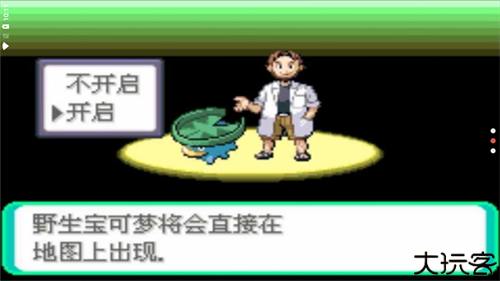 口袋妖怪传说绿宝石